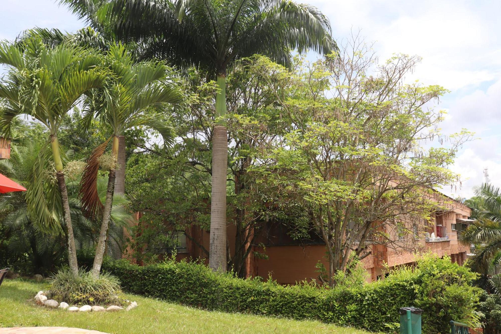 Hotel Palmera Real Bucaramanga Exterior photo